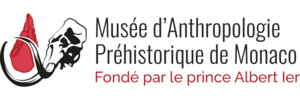 Le Musée d'anthropologie préhistorique